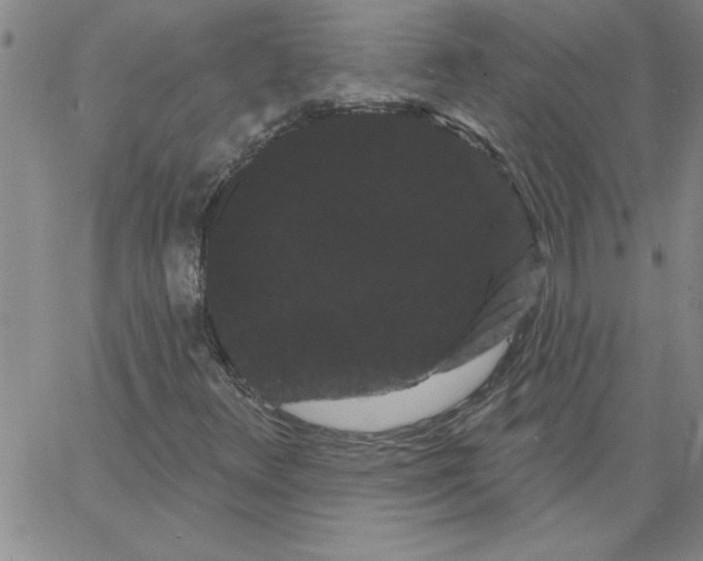 X0000066121348200604071902