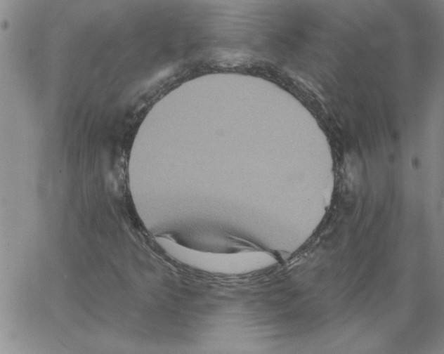 X0000066121349200604071902