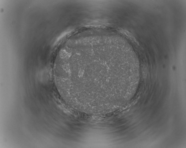 X0000066121350200604071902