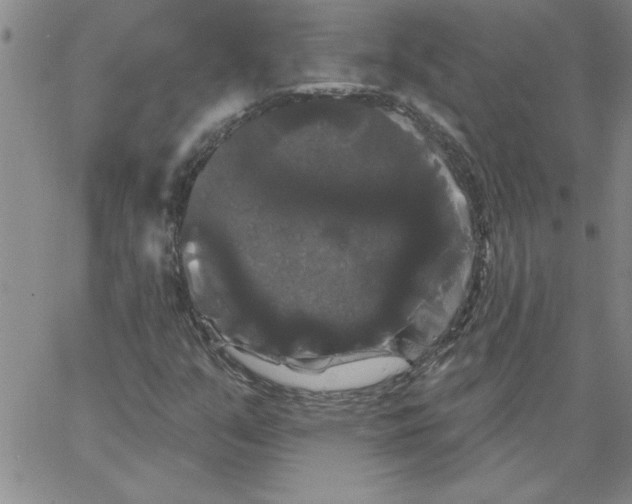 X0000066121351200604071902