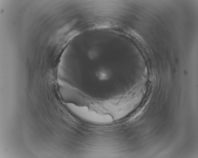 X0000066121353200604071902