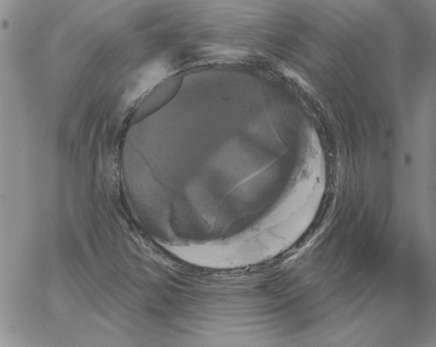 X0000066121354200604071902