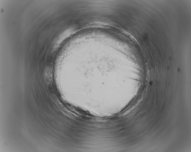 X0000066121355200604071902