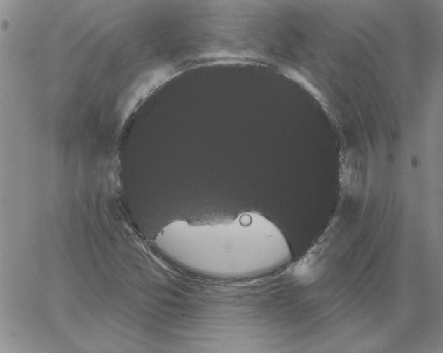 X0000066121357200604071902