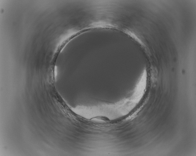 X0000066121358200604071902