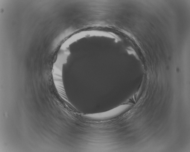 X0000066121359200604071901