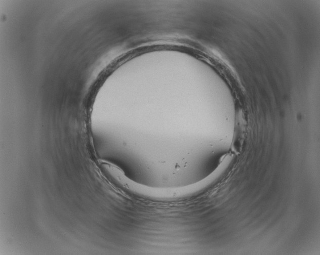 X0000066121360200604071901