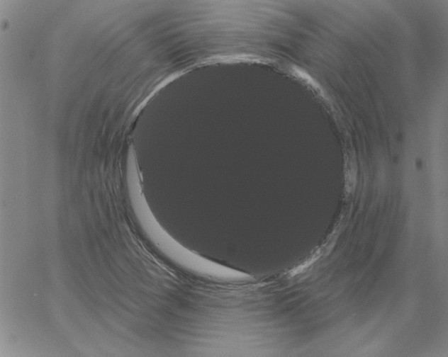 X0000066121361200604071901