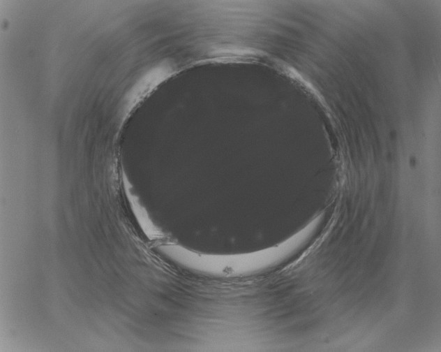 X0000066121362200604071901