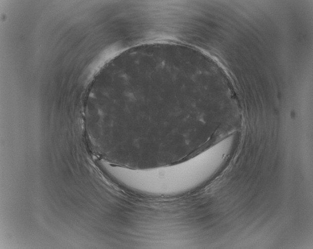 X0000066121363200604071901