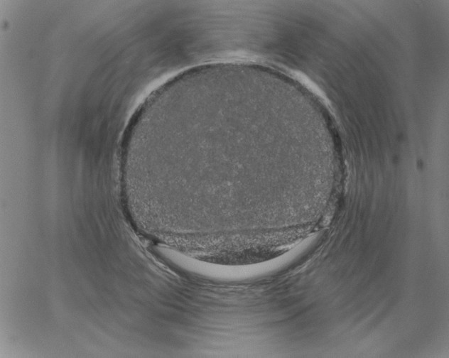 X0000066121364200604071901