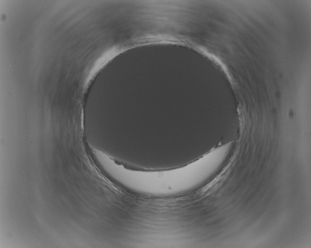 X0000066121365200604071901