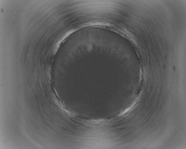 X0000066121369200604071901