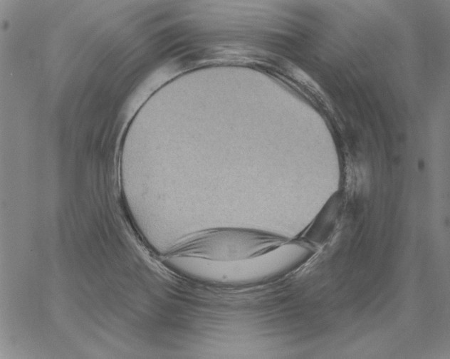 X0000066121370200604071901