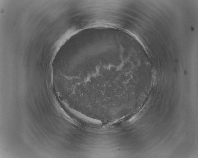 X0000066121371200604071901