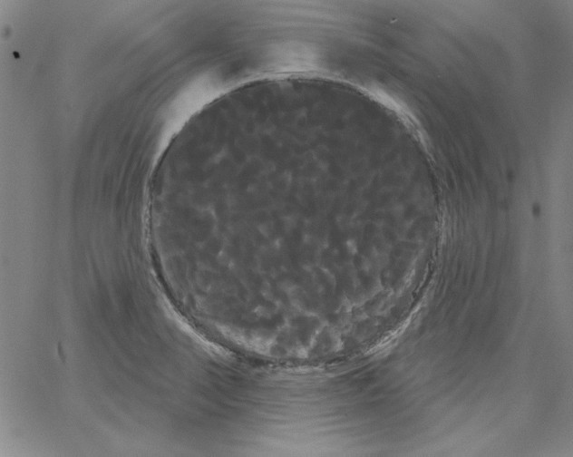 X0000066121374200604071901