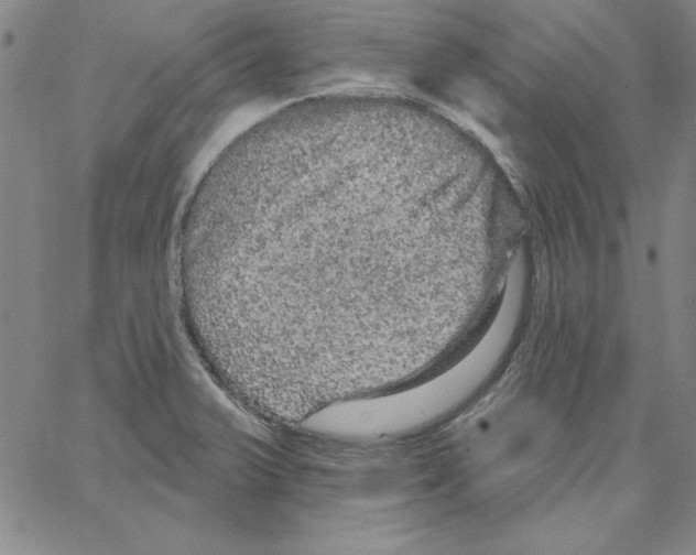 X0000066121375200604071901