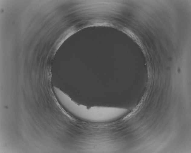 X0000066121377200604071901