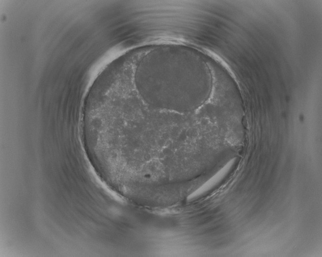 X0000066121379200604071901