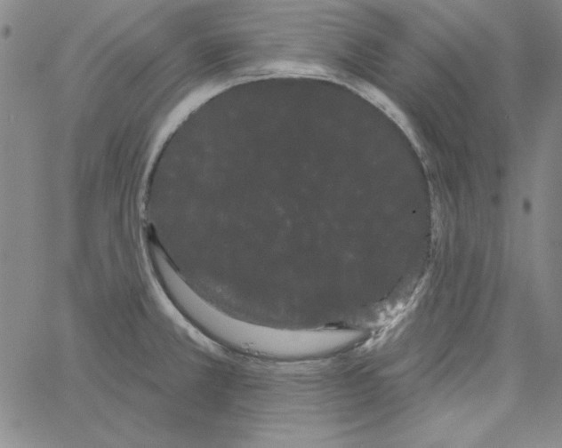 X0000066121381200604071901