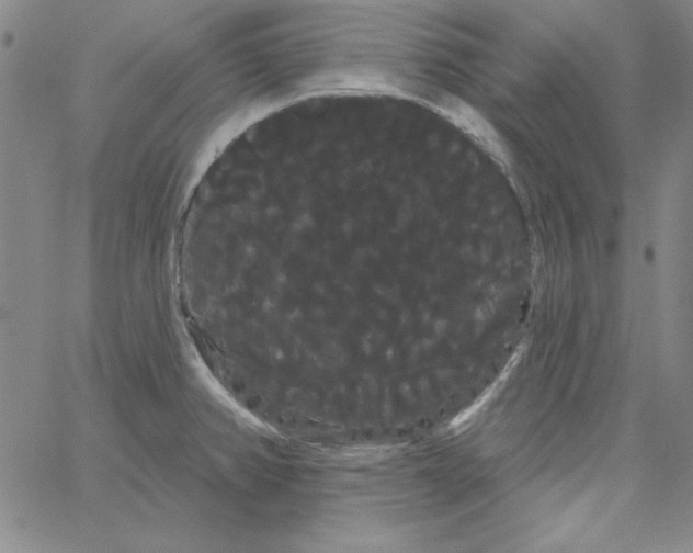 X0000066121382200604071901