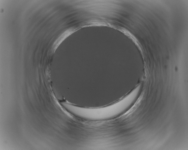 X0000066121385200604071901