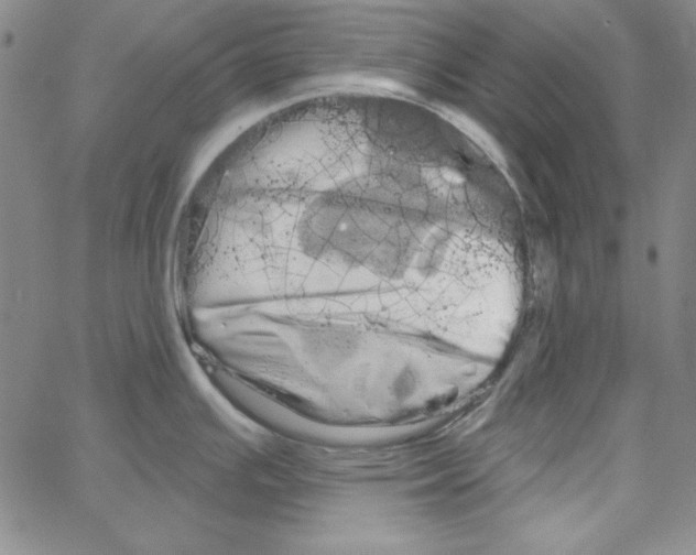 X0000066121391200604071901