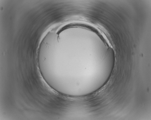 X0000066121392200604071901