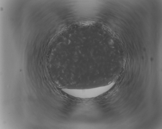 X0000066121393200604071900