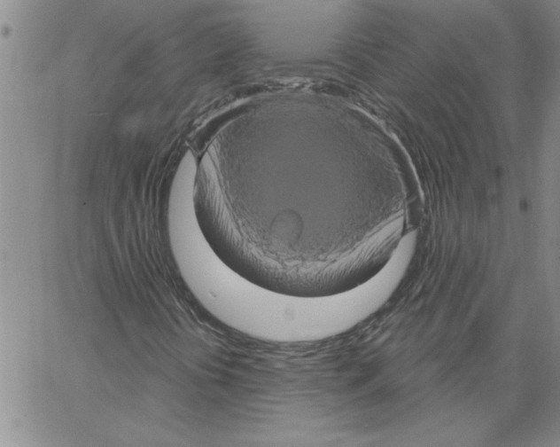 X0000066121394200604071900