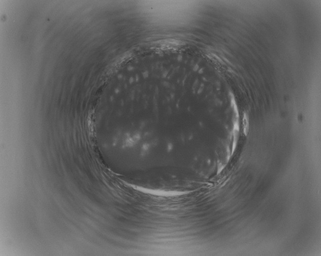 X0000066121395200604071900