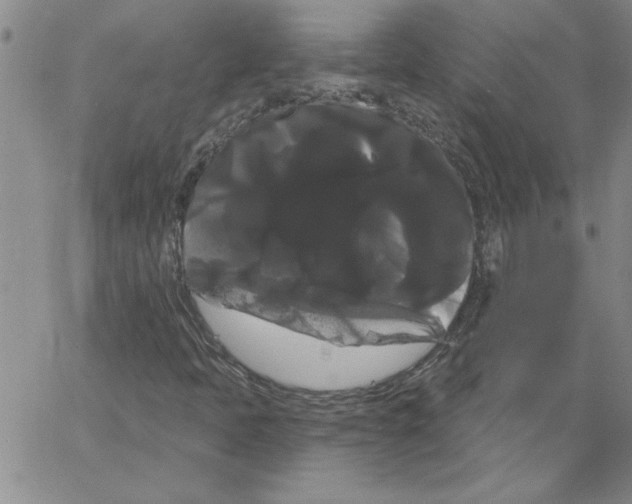 X0000066121397200604071900