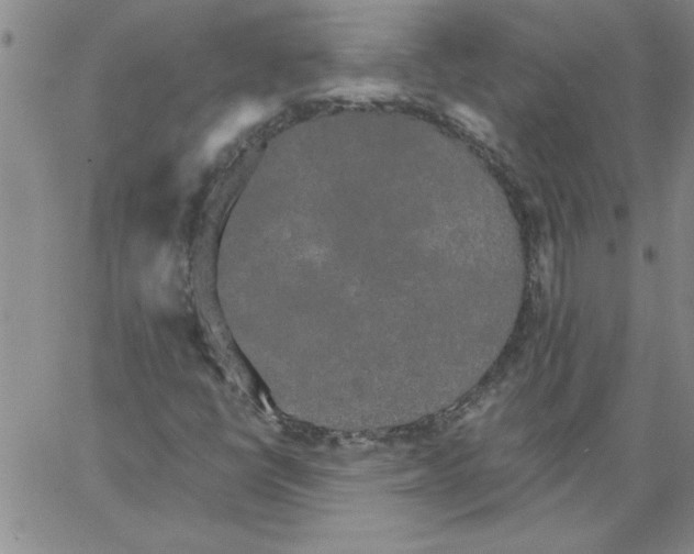 X0000066121398200604071900