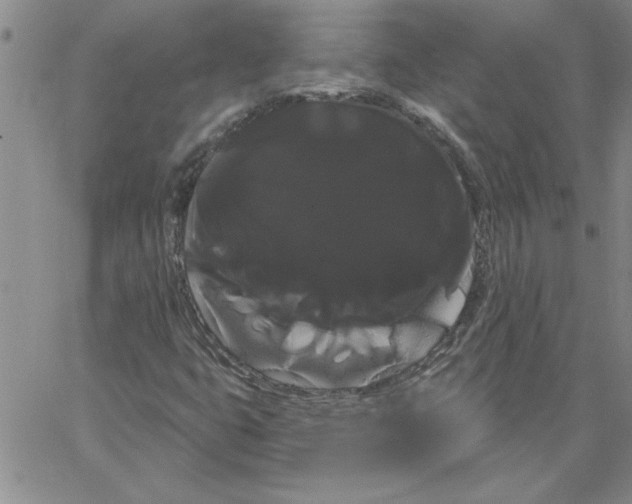 X0000066121399200604071900