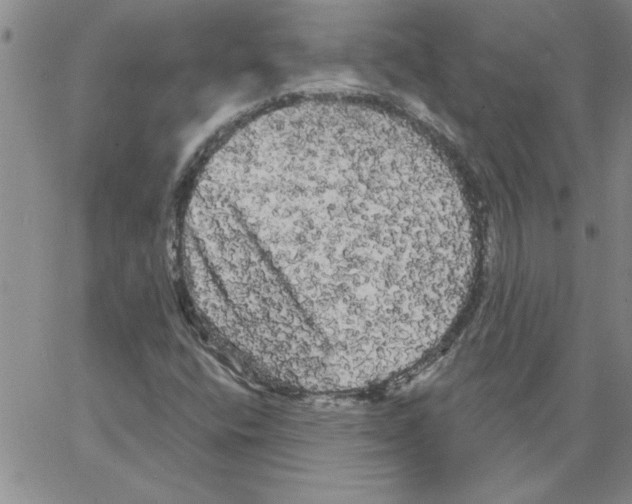 X0000066121400200604071900