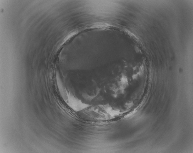 X0000066121401200604071900