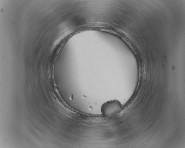 X0000066121402200604071900