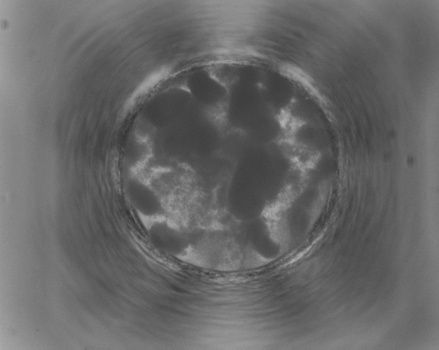 X0000066121403200604071900