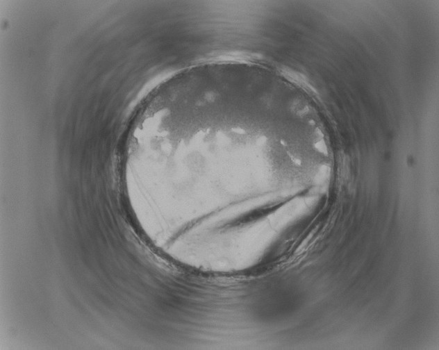 X0000066121404200604071900