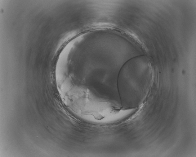 X0000066121405200604071900