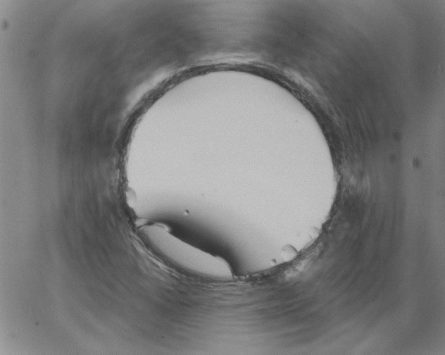 X0000066121406200604071900