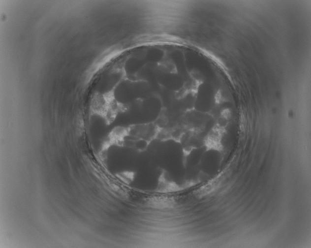 X0000066121407200604071900