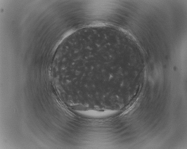 X0000066121409200604071900