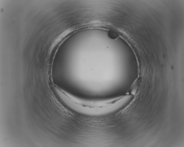 X0000066121410200604071900