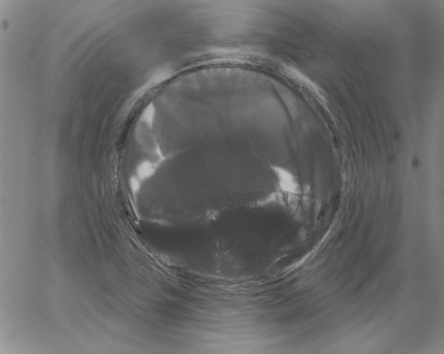 X0000066121411200604071900