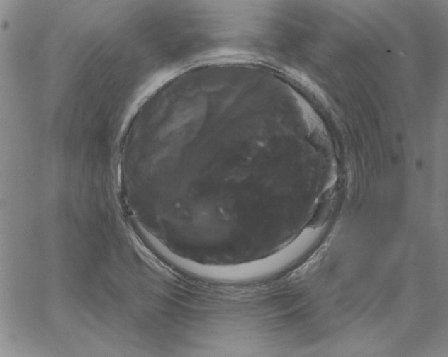 X0000066121413200604071901