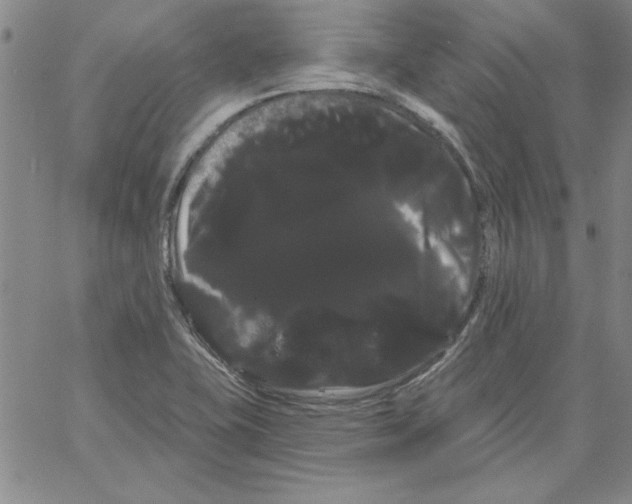 X0000066121415200604071901