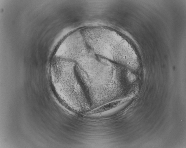 X0000066121416200604071901