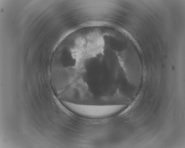 X0000066121417200604071901