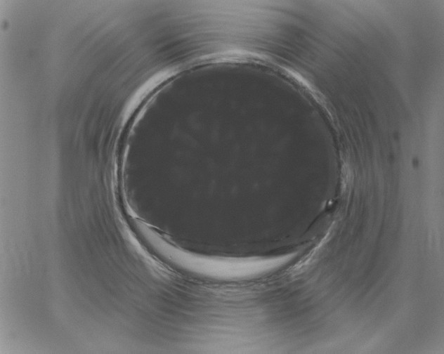 X0000066121418200604071901